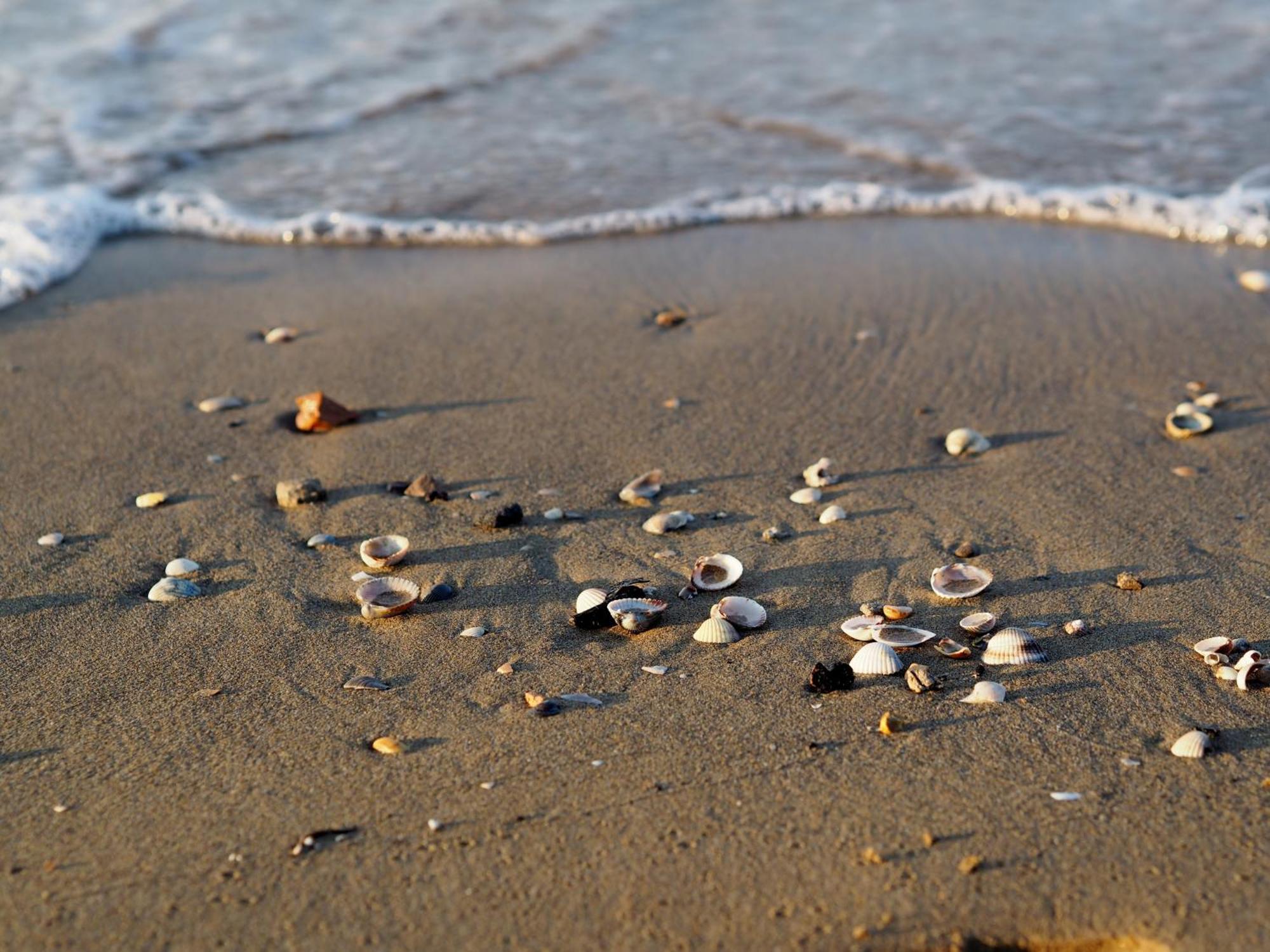 Appartamento Lovely And Cozy Beachside Flat - Beahost Bibione